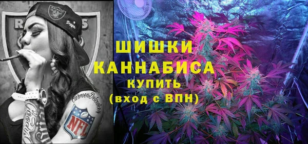 прущие грибы Балахна
