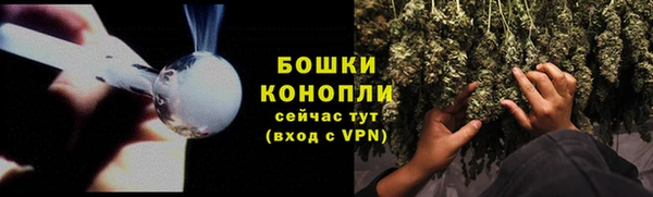 прущие грибы Балахна