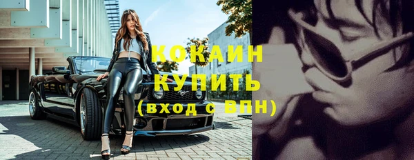 прущие грибы Балахна
