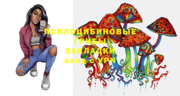 прущие грибы Балахна
