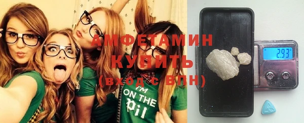прущие грибы Балахна