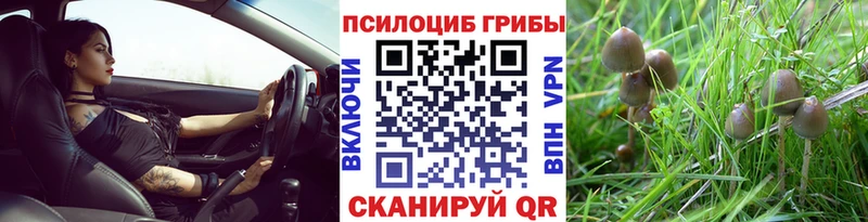 Псилоцибиновые грибы GOLDEN TEACHER  хочу   Усть-Кут 